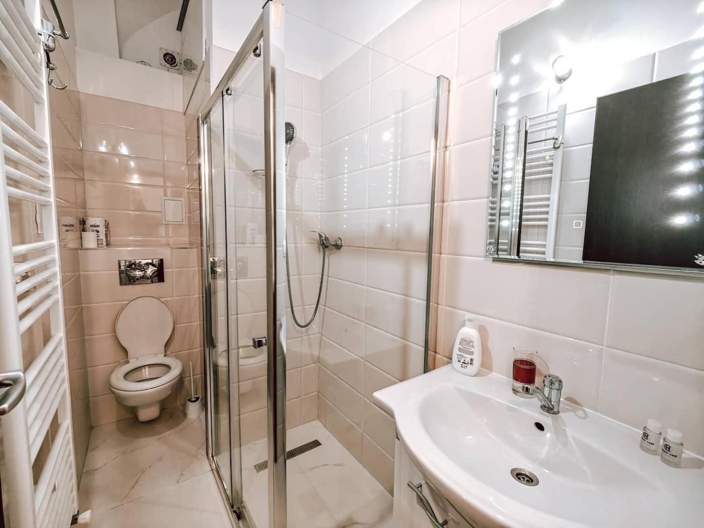 קלוז'-נאפוקה Berindei Studio - City Center - Private Parking מראה חיצוני תמונה